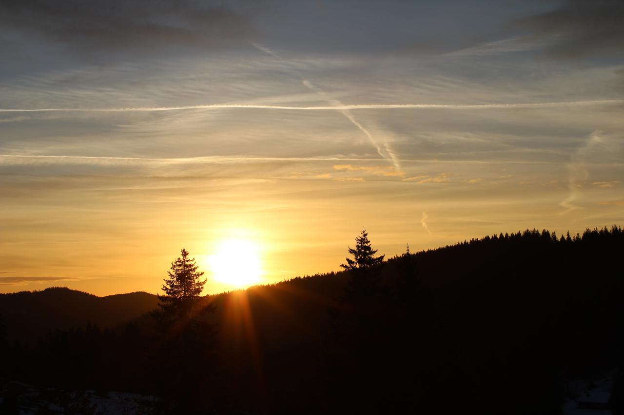 Boutique Hotel Kokoschinski Feldberg  Εξωτερικό φωτογραφία